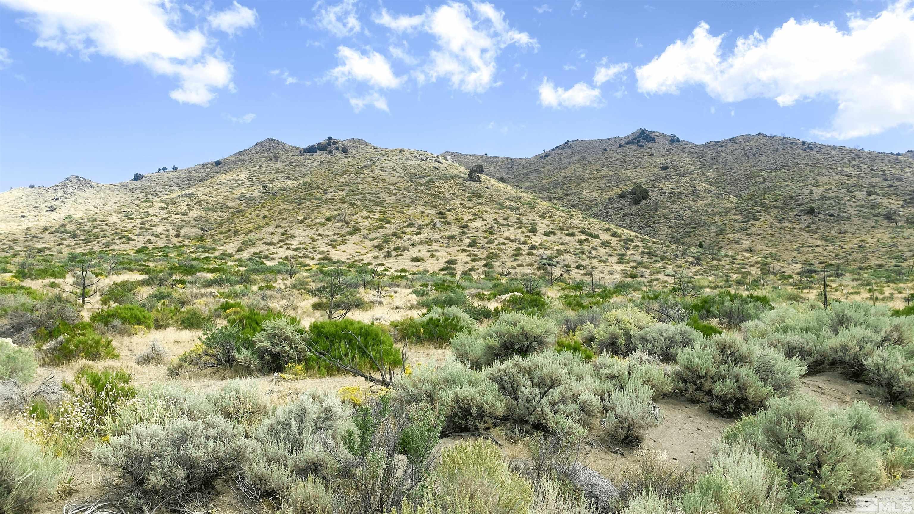 1220 Bullion Hill Road Reno, NV 89508 - Photo 3 of 5 a view of a large tree with mountains in the background