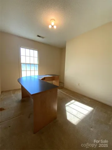 a view of a yard with large trees