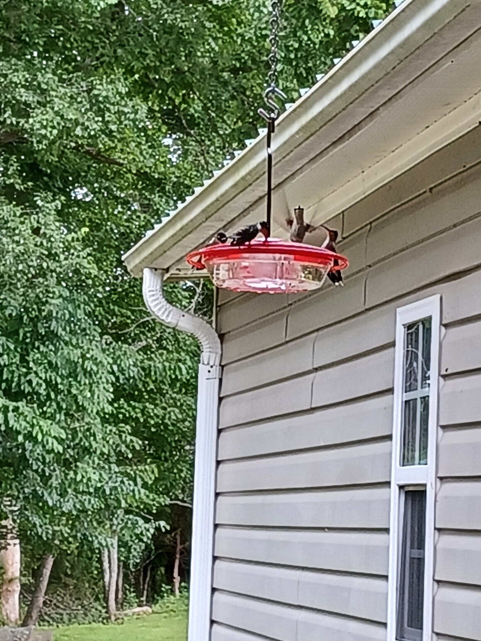 1765 Williamson Branch Road Vanleer, TN 37181 - Photo 13 of 59 a view of balcony with an outdoor seating