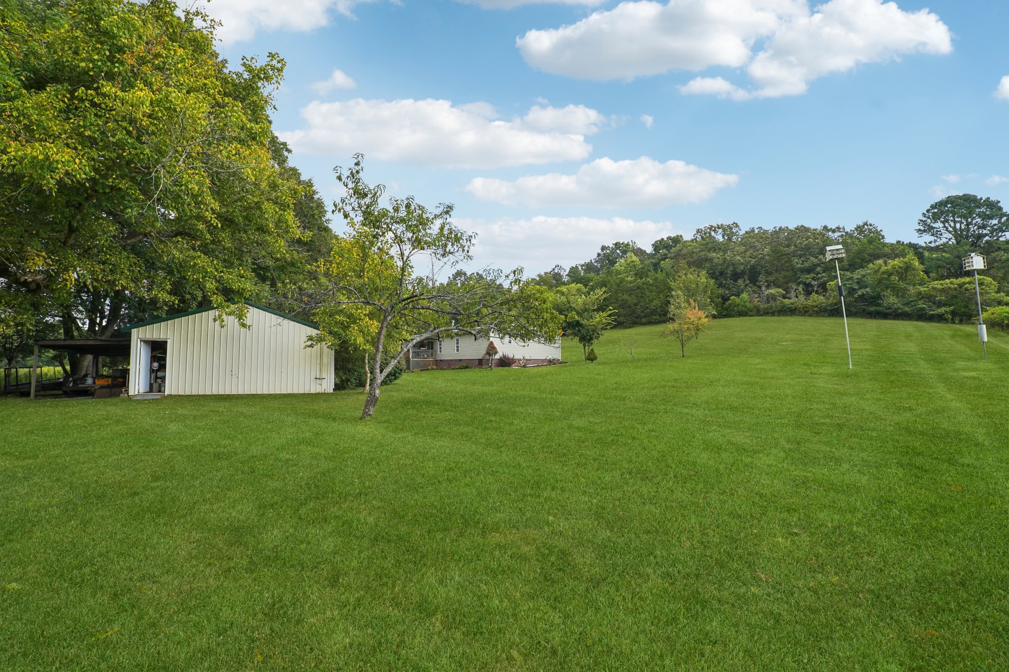 1765 Williamson Branch Road Vanleer, TN 37181 - Photo 31 of 59 a view of a backyard