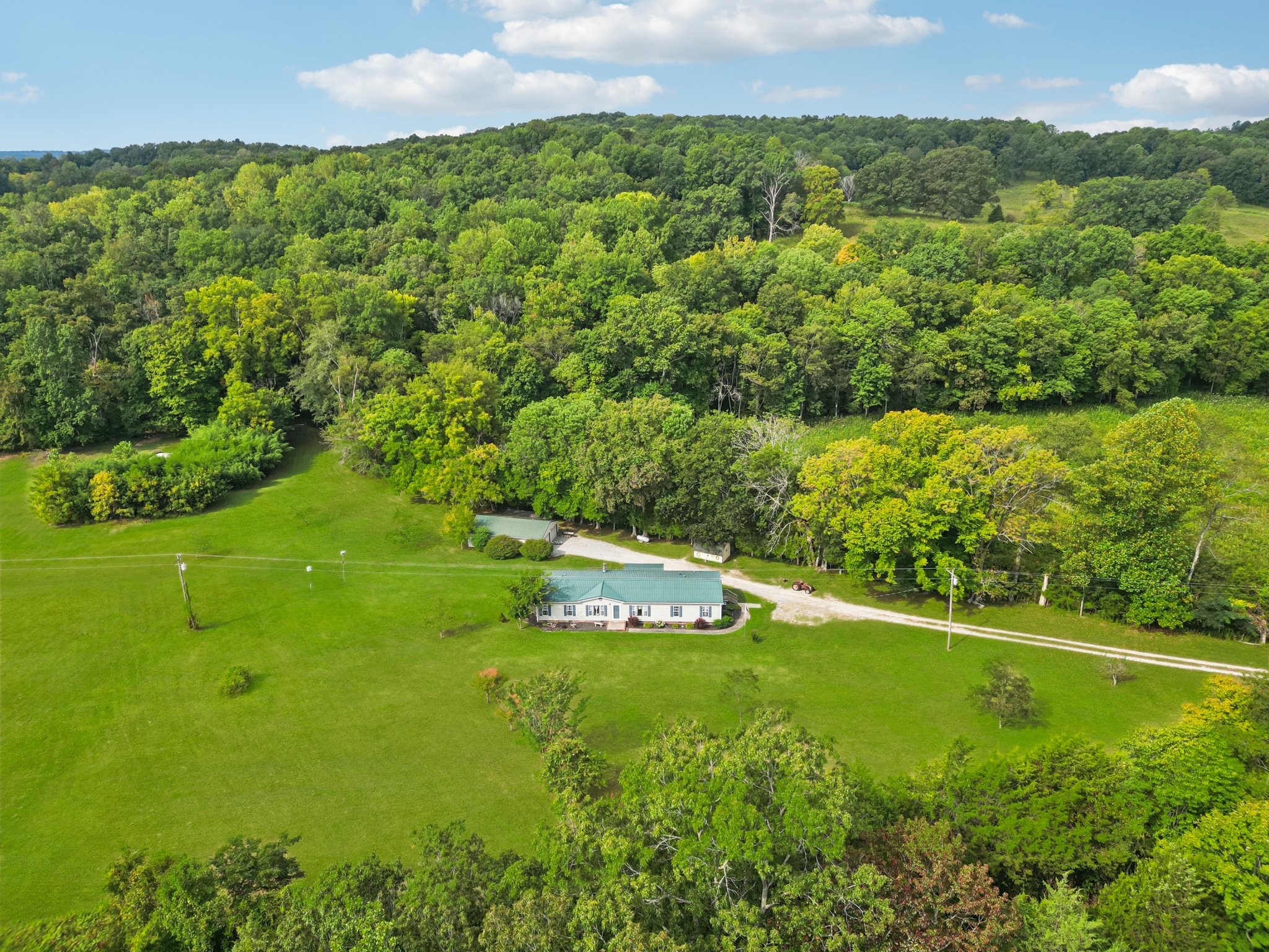 1765 Williamson Branch Road Vanleer, TN 37181 - Photo 36 of 59 a large green field with lots of bushes