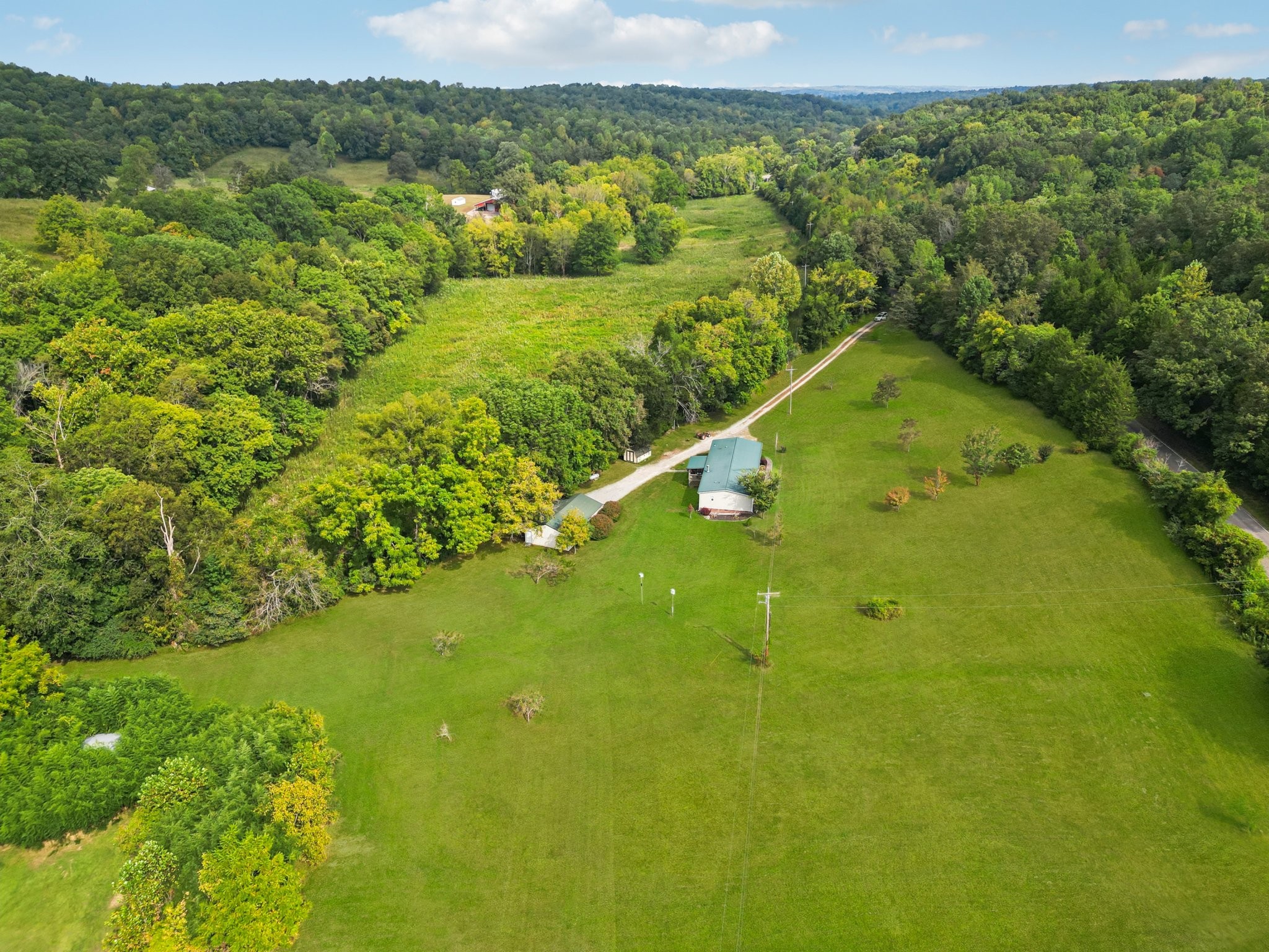 1765 Williamson Branch Road Vanleer, TN 37181 - Photo 40 of 59 a view of a lush green forest with a lake