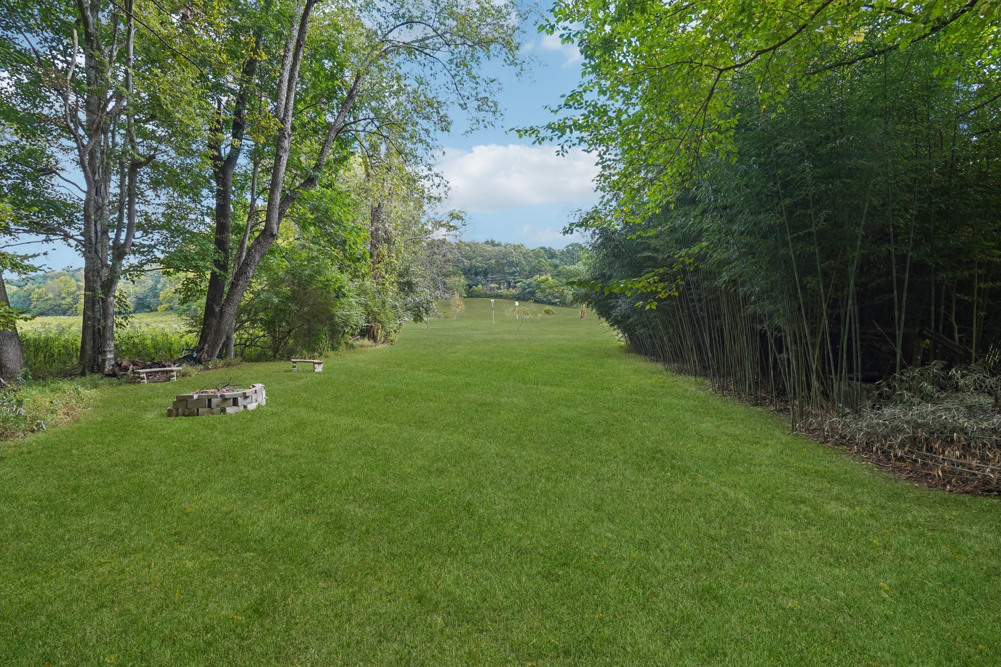 1765 Williamson Branch Road Vanleer, TN 37181 - Photo 43 of 59 a view of a garden with a bench