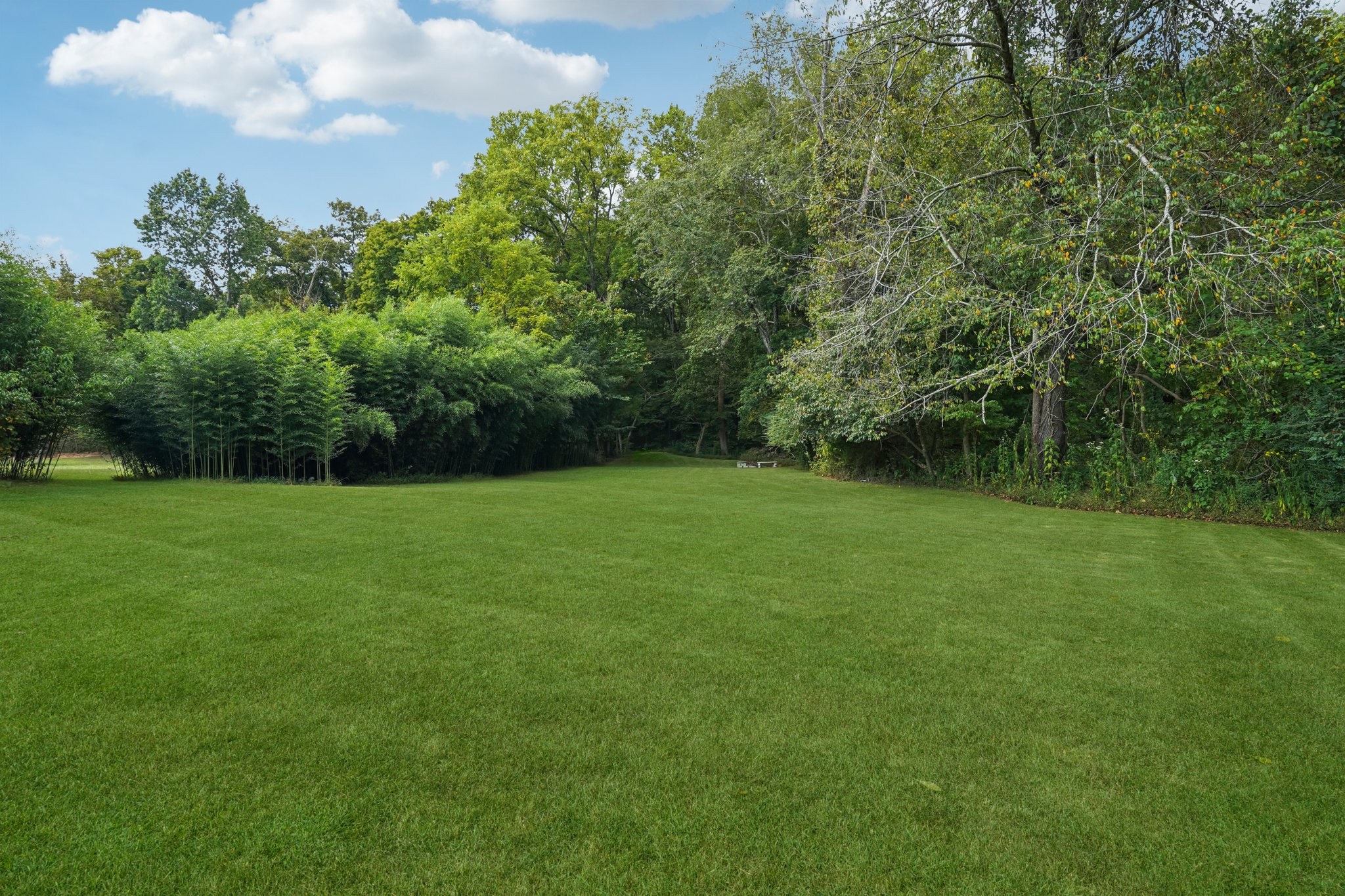 1765 Williamson Branch Road Vanleer, TN 37181 - Photo 44 of 59 a view of a green field with wooden fence