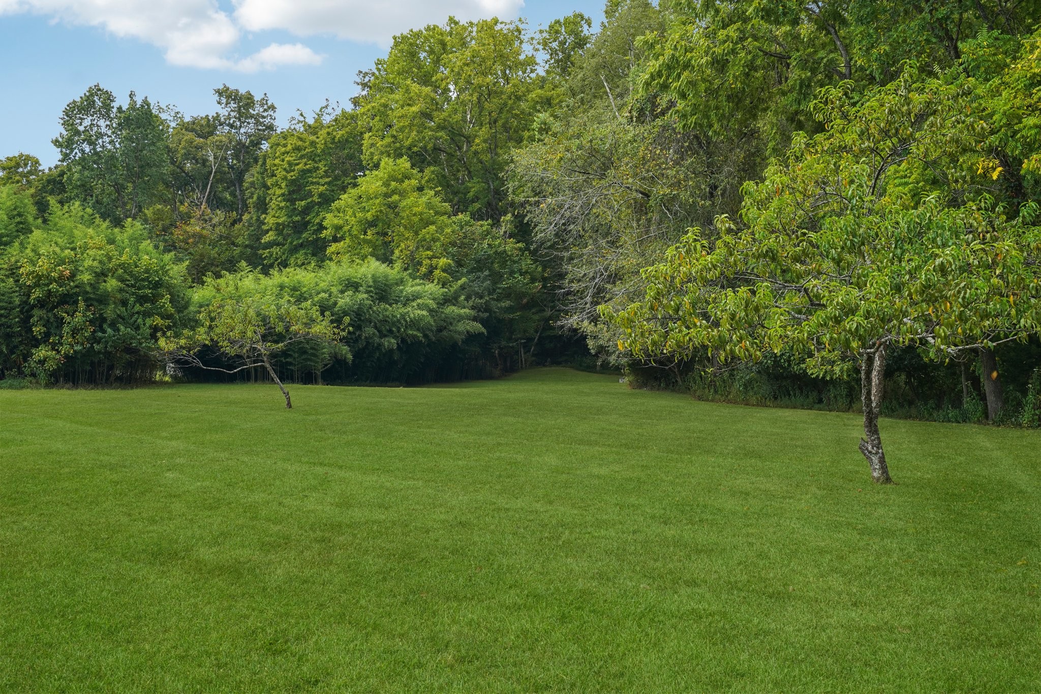 1765 Williamson Branch Road Vanleer, TN 37181 - Photo 45 of 59 a view of a field with a park