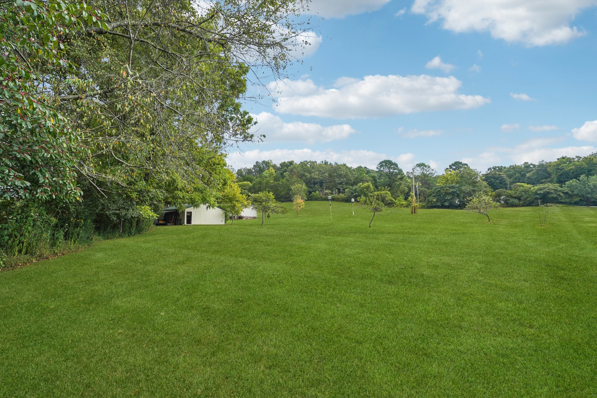 1765 Williamson Branch Road Vanleer, TN 37181 - Photo 48 of 59 a view of a green field with wooden fence