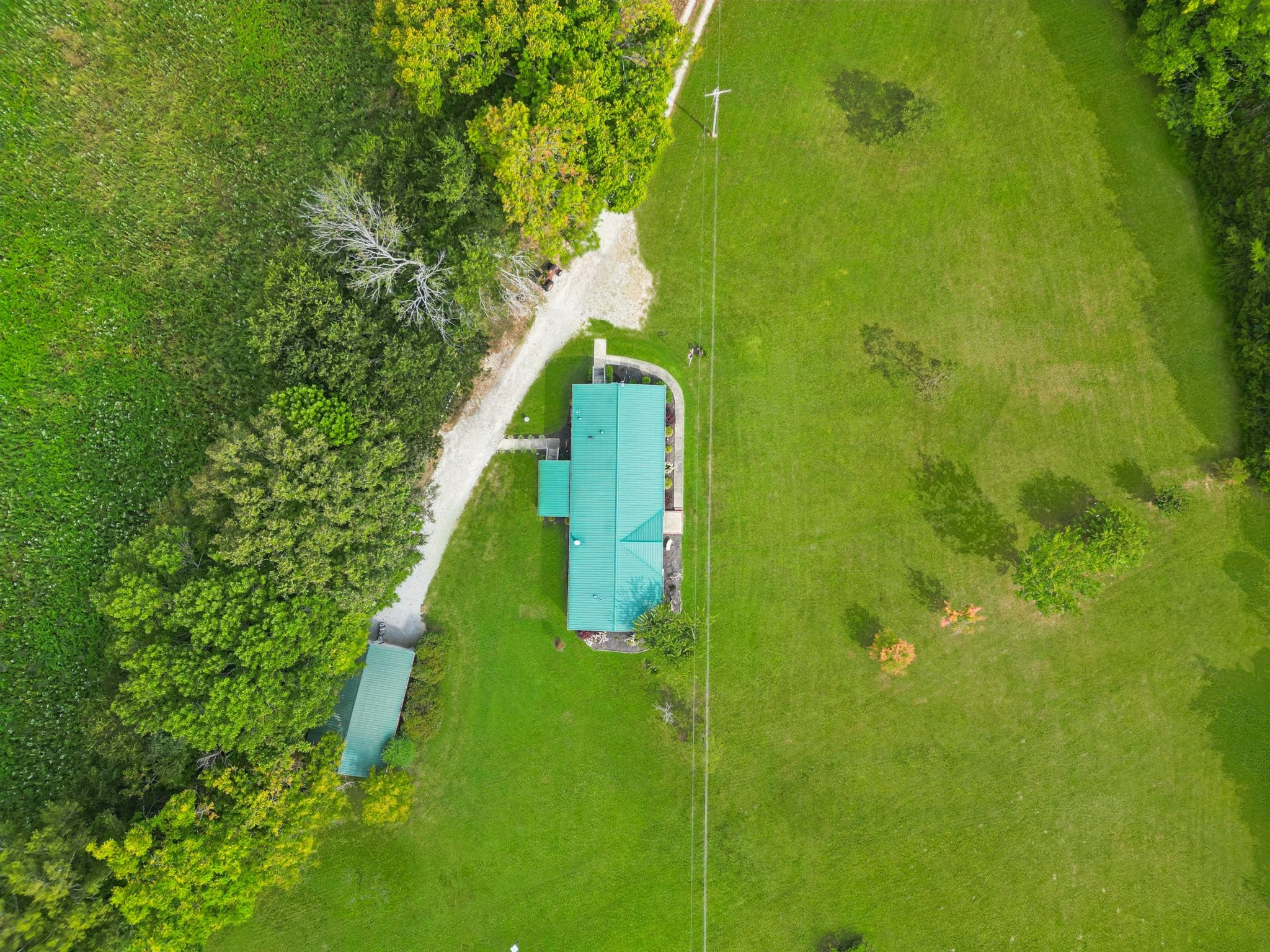 1765 Williamson Branch Road Vanleer, TN 37181 - Photo 55 of 59 a picture of a small yard