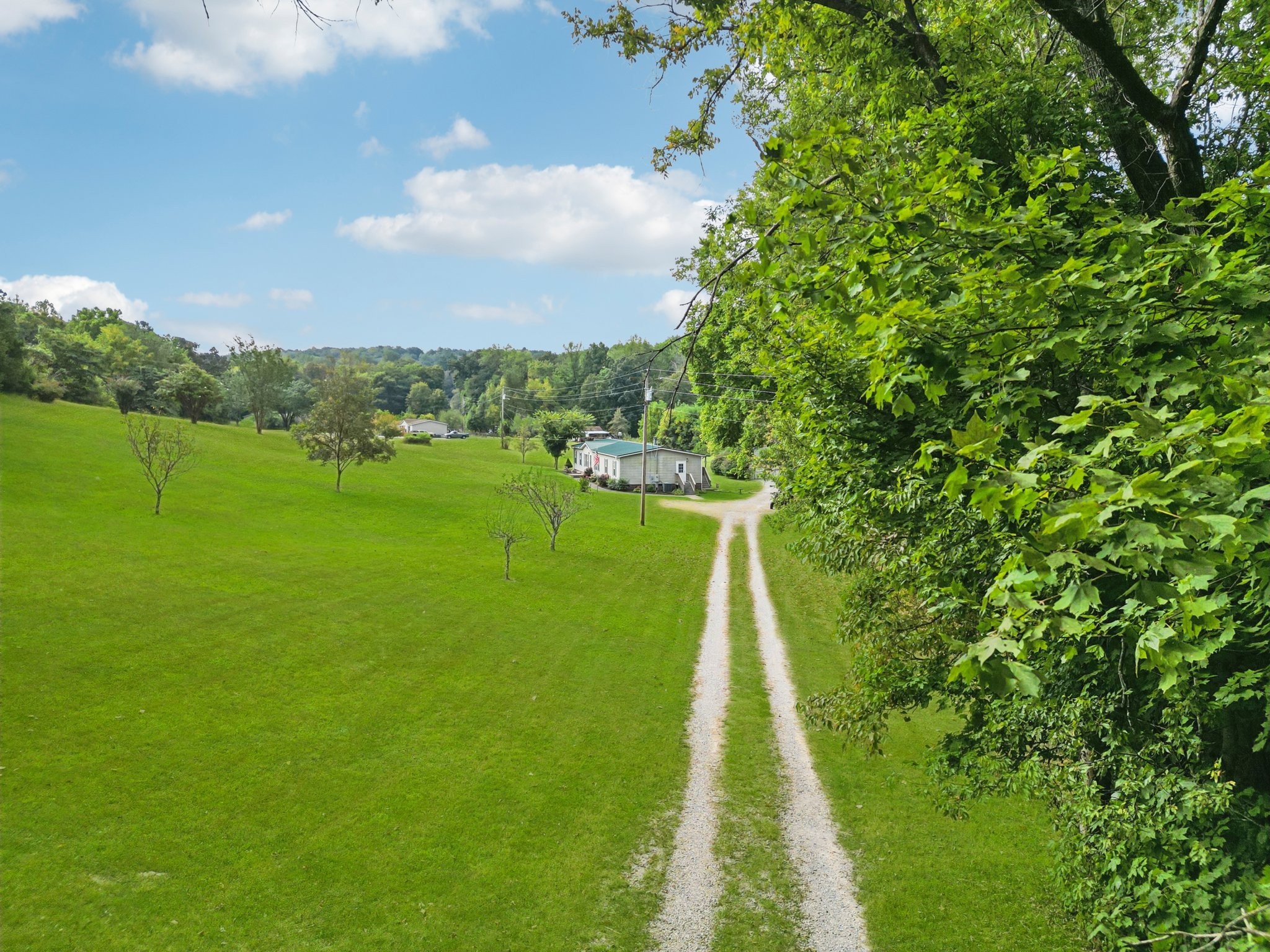 1765 Williamson Branch Road Vanleer, TN 37181 - Photo 8 of 59 a view of a lake with a big yard