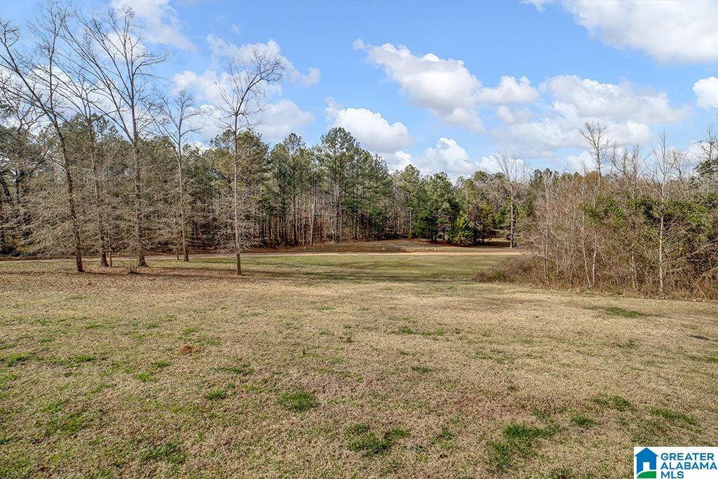 20001 Rabbit Ridge McCalla, AL 35111 - Photo 28 of 29