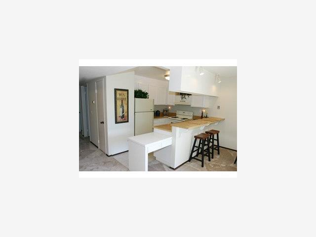 57 Redding Road Campbell, CA 95008 - Photo 4 of 9