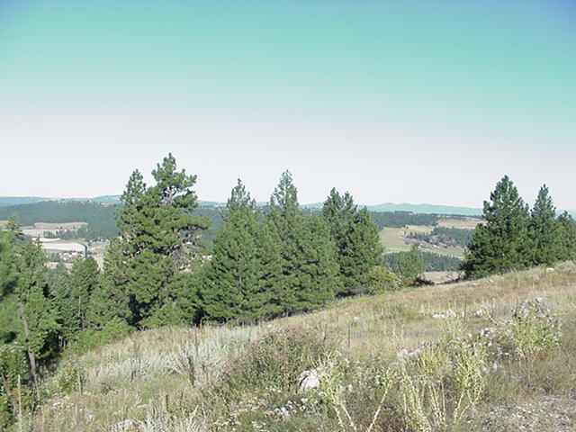 0 North Ridgeview Lane Mead, WA 99021 - Photo 3 of 9