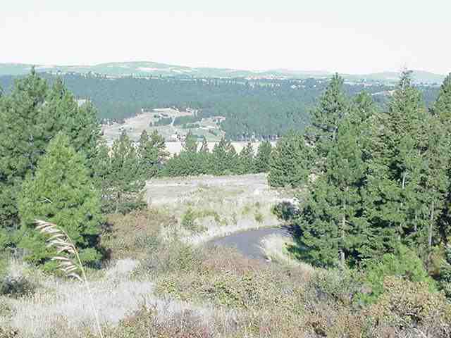 0 North Ridgeview Lane Mead, WA 99021 - Photo 4 of 9