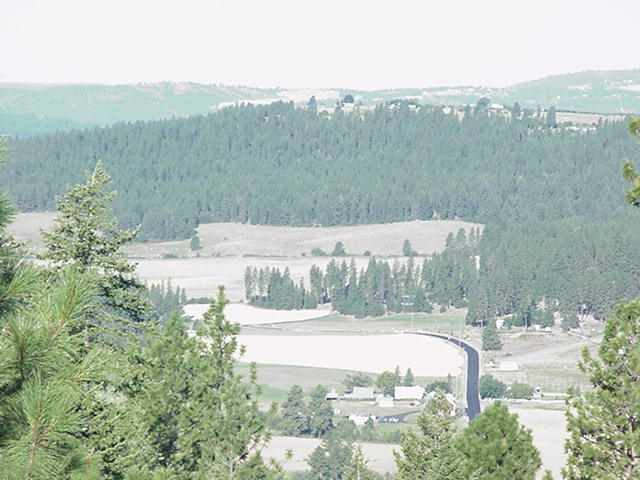 0 North Ridgeview Lane Mead, WA 99021 - Photo 5 of 9