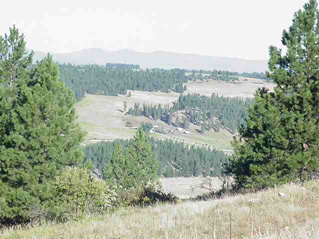 0 North Ridgeview Lane Mead, WA 99021 - Photo 8 of 9