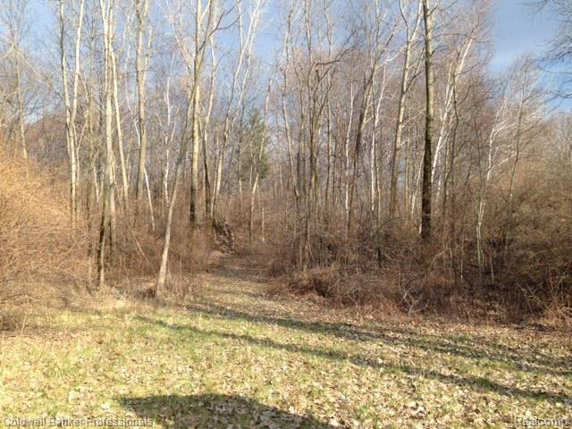 5200 Hackman Road Capac, MI 48014 - Photo 4 of 36 unnamed (5).jpg