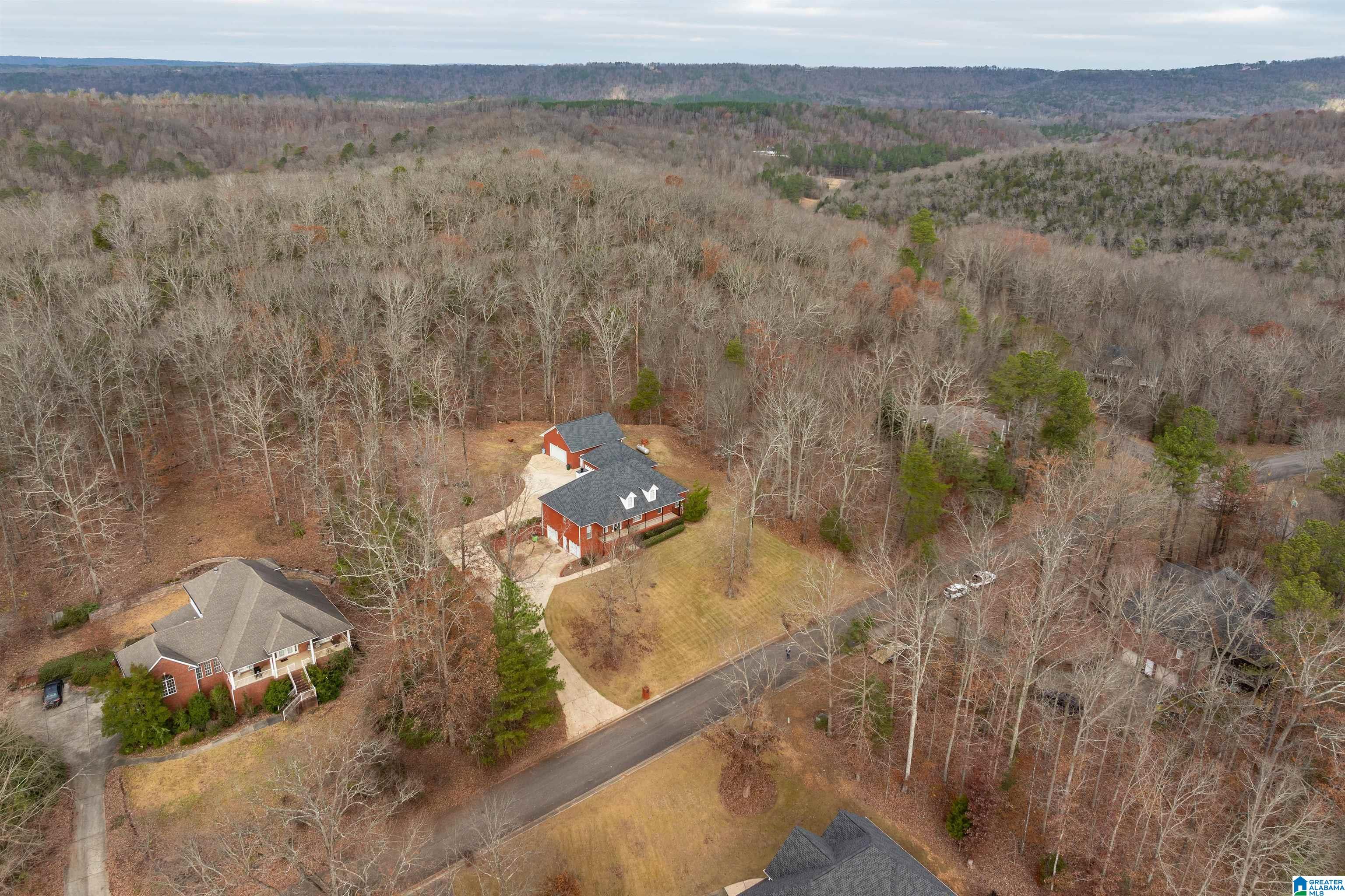 125 Heritage Ridge Springville, AL 35146 - Photo 45 of 50