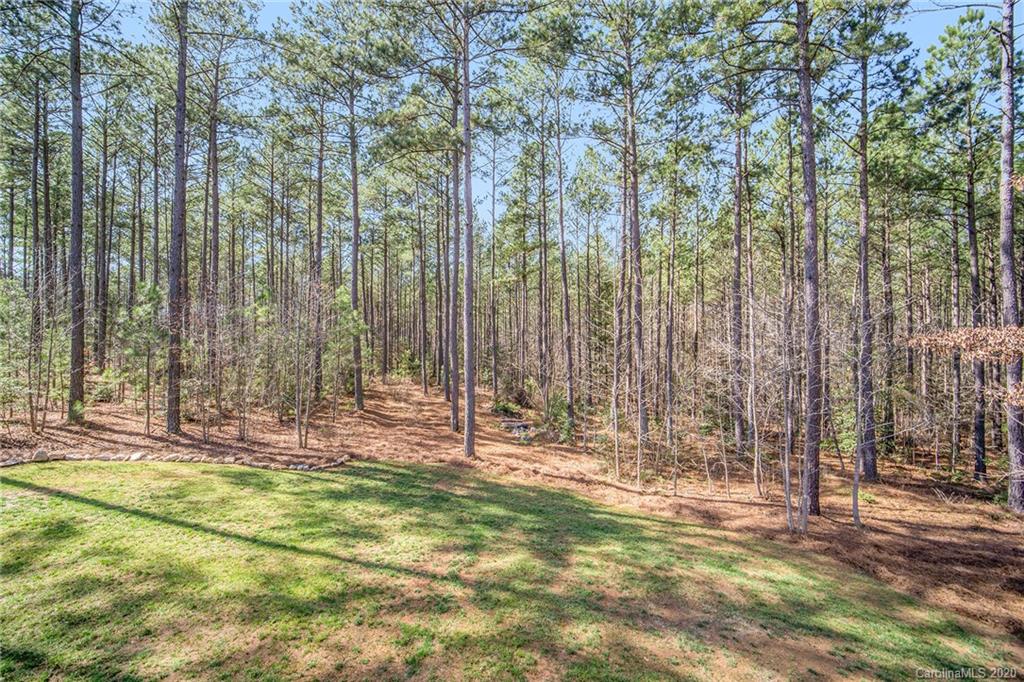 4269 Persimmon Road Lancaster, SC 29720 - Photo 43 of 48 Gallery Image 43