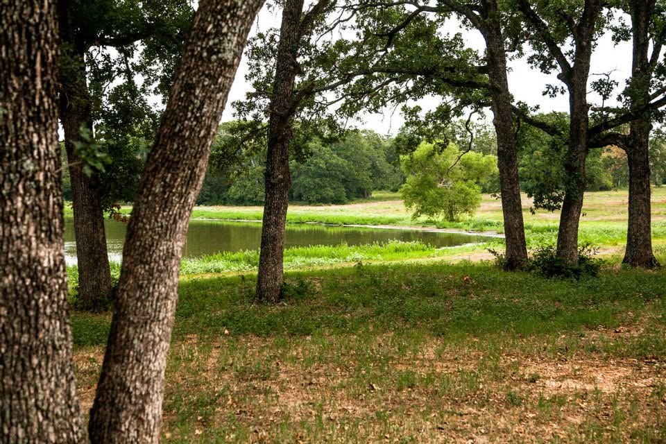 4342 B Dobrovolny Road Bryan, TX 77807 - Photo 5 of 6 Gallery Image 5