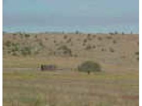 1900 Buffalo Run Road Paulden, AZ 86323 - Photo 2 of 5 Additional Photo