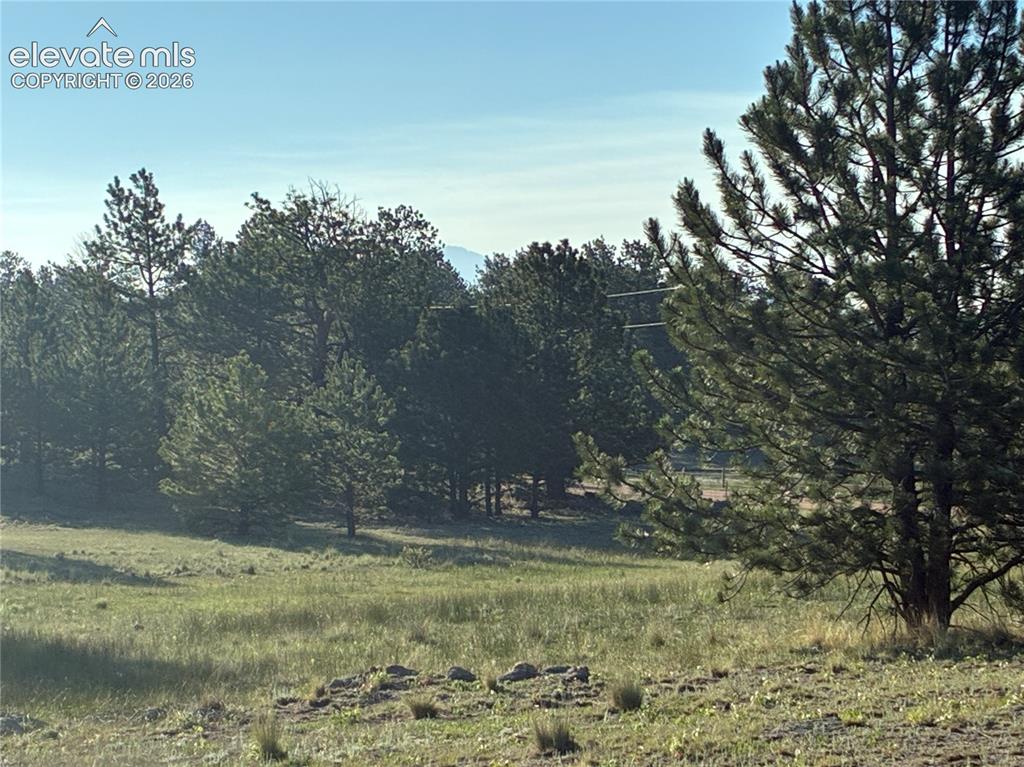 Tbd Doe Valley Road Guffey, CO 80820 - Photo 16 of 19 Clusters of forested areas.