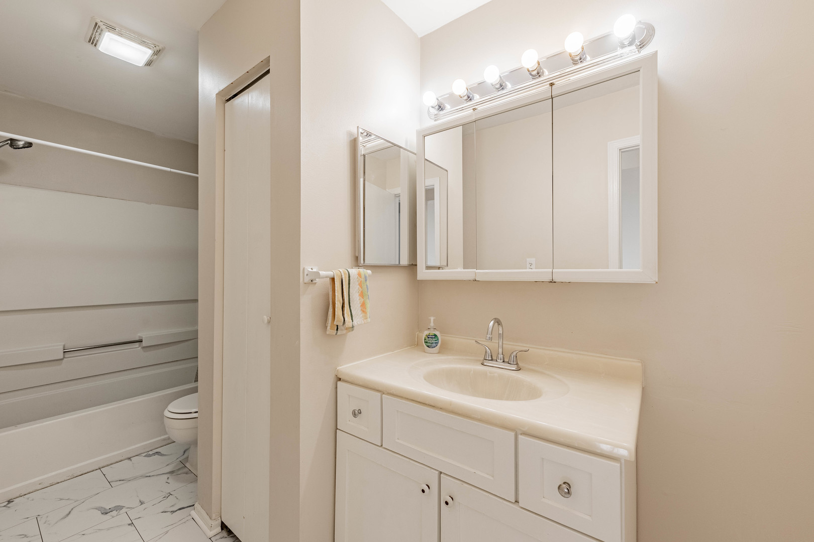 237 Acorn Drive Streamwood, IL 60107 - Photo 20 of 31 a bathroom with a sink a toilet and vanity