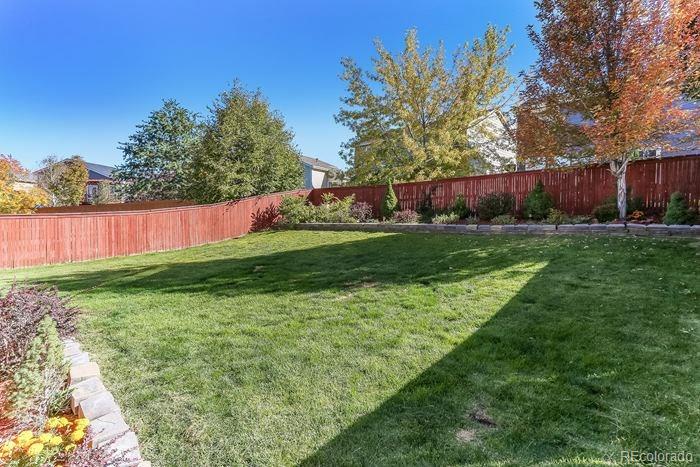 9880 Aftonwood Street Highlands Ranch, CO 80126 - Photo 13 of 14