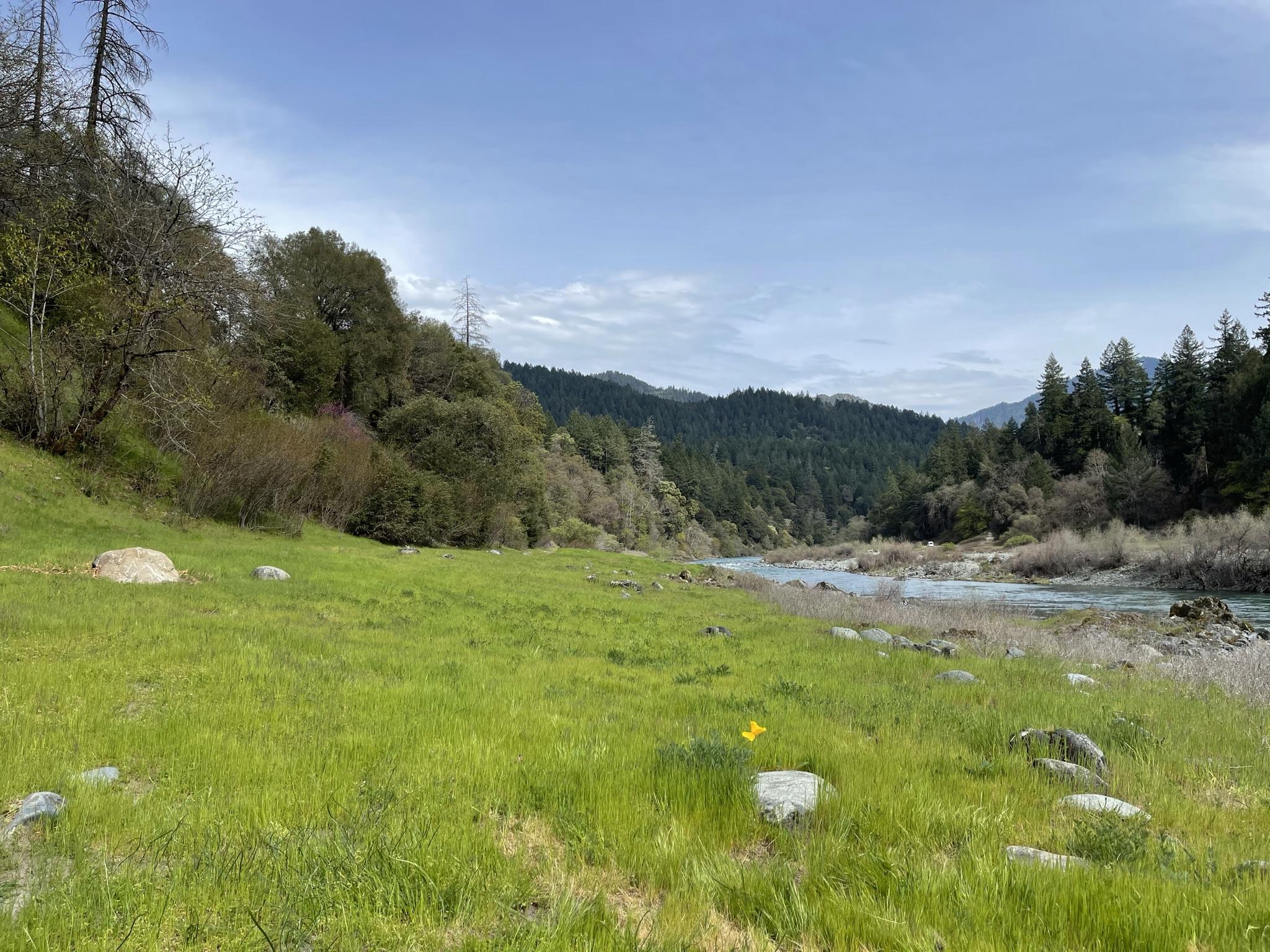 38 Big Oak Road Burnt Ranch, CA 95527 - Photo 4 of 5