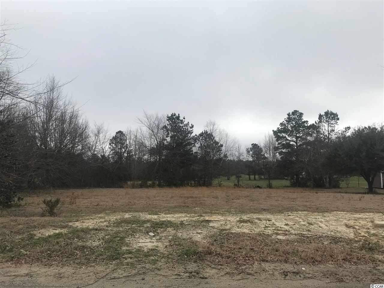 Tbd Lot 4 Tbd Road Aynor, SC 29544 - Photo 1 of 1 Gallery Image 1