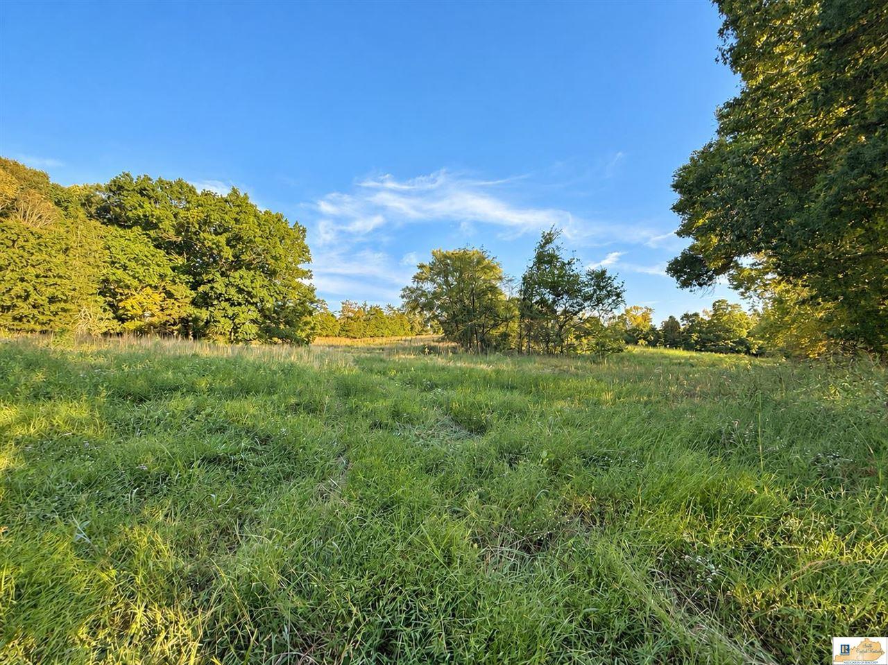 0 Stanley Syra Road Edmonton, KY 42129 - Photo 16 of 28 Gallery Image 16