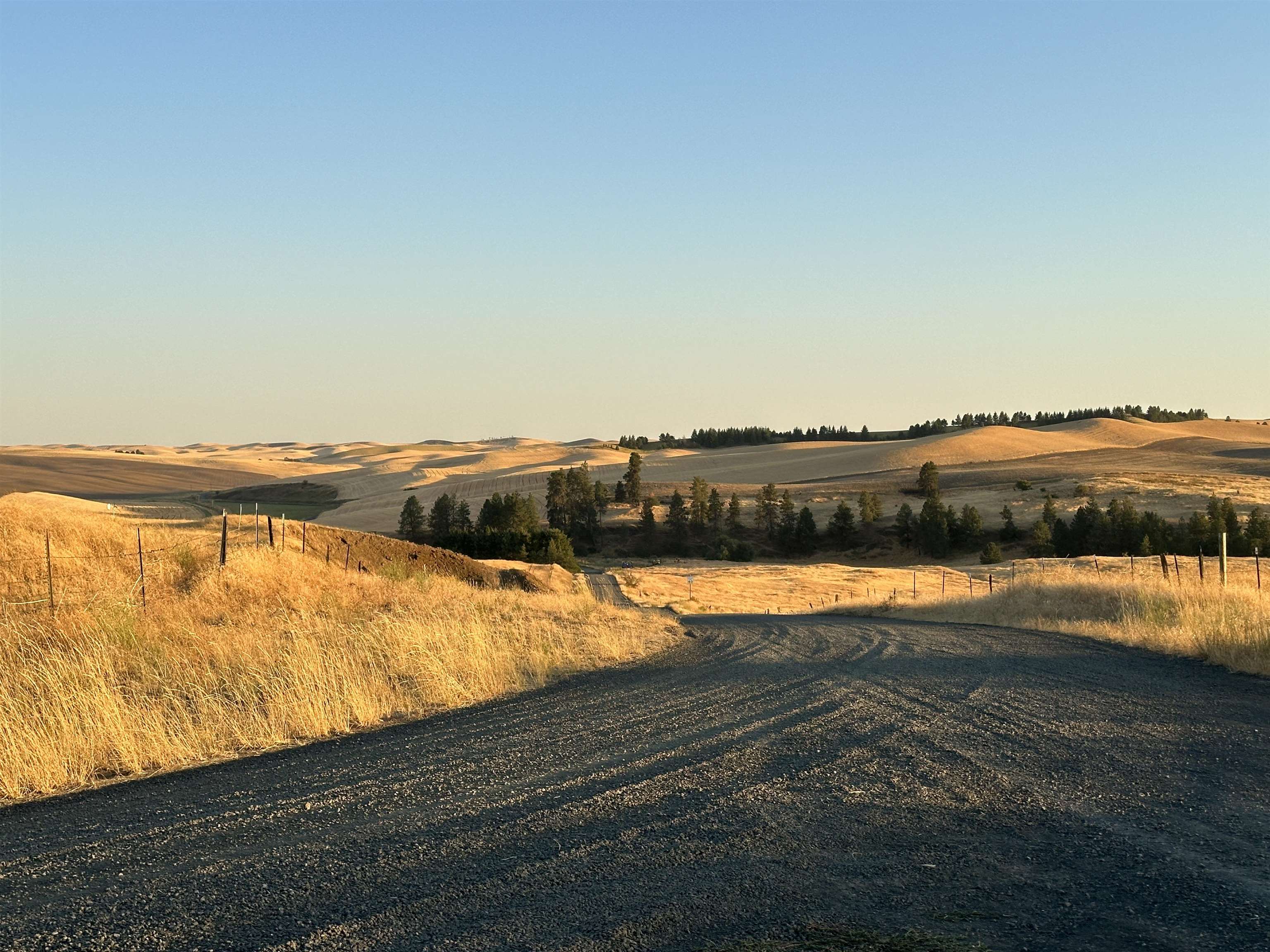 Tbd Southeast Main Street Rosalia, WA 99170 - Photo 2 of 7