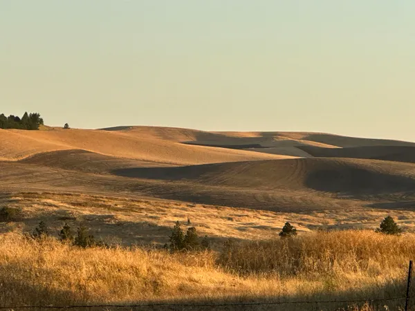 $20,000 | Tbd Southeast Main Street, Rosalia, WA 99170