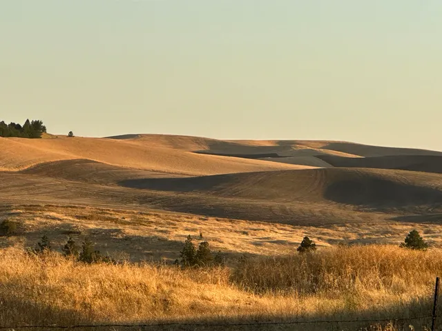 $20,000 | Tbd Southeast Main Street, Rosalia, WA 99170