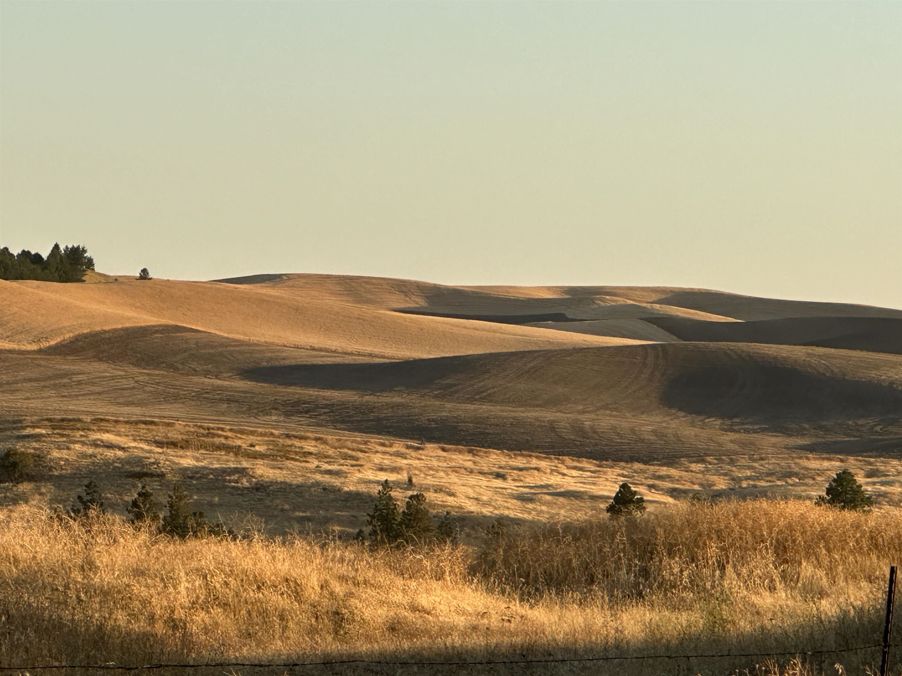 Tbd Southeast Main Street Rosalia, WA 99170 - Photo 3 of 7