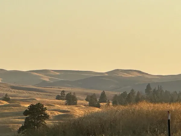 $20,000 | Tbd Southeast Main Street, Rosalia, WA 99170