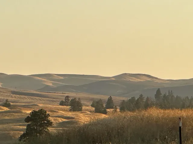 $20,000 | Tbd Southeast Main Street, Rosalia, WA 99170