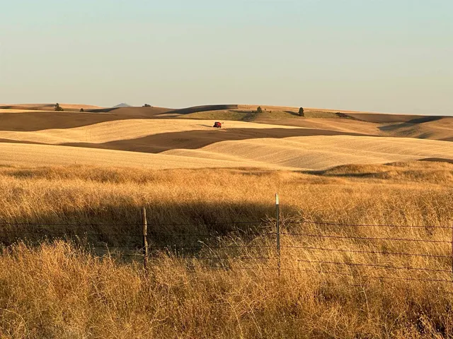 $20,000 | Tbd Southeast Main Street, Rosalia, WA 99170