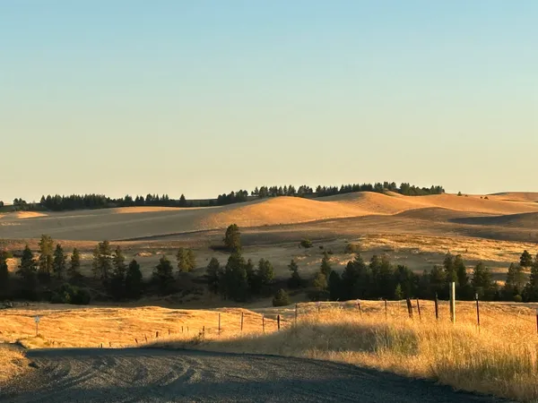 $20,000 | Tbd Southeast Main Street, Rosalia, WA 99170