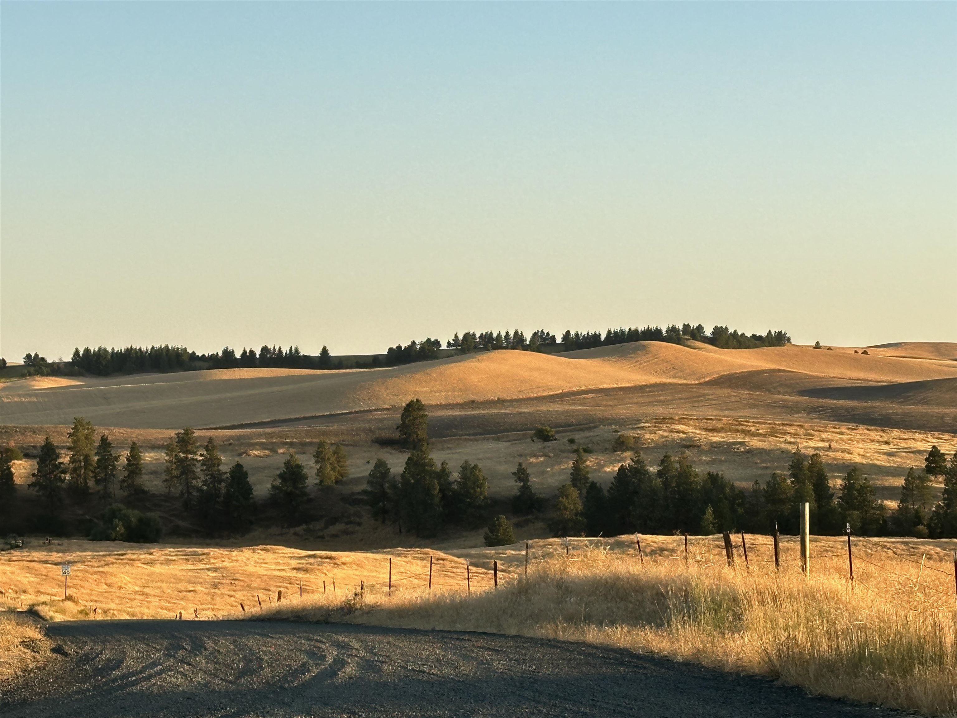 Tbd Southeast Main Street Rosalia, WA 99170 - Photo 6 of 7