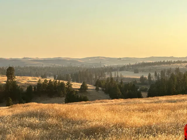 $20,000 | Tbd Southeast Main Street, Rosalia, WA 99170