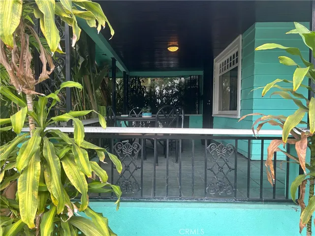 a picture of a plant