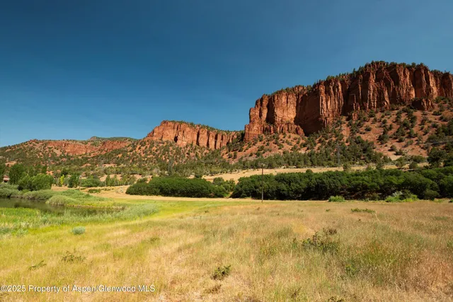 a view of a yard with wooden fence