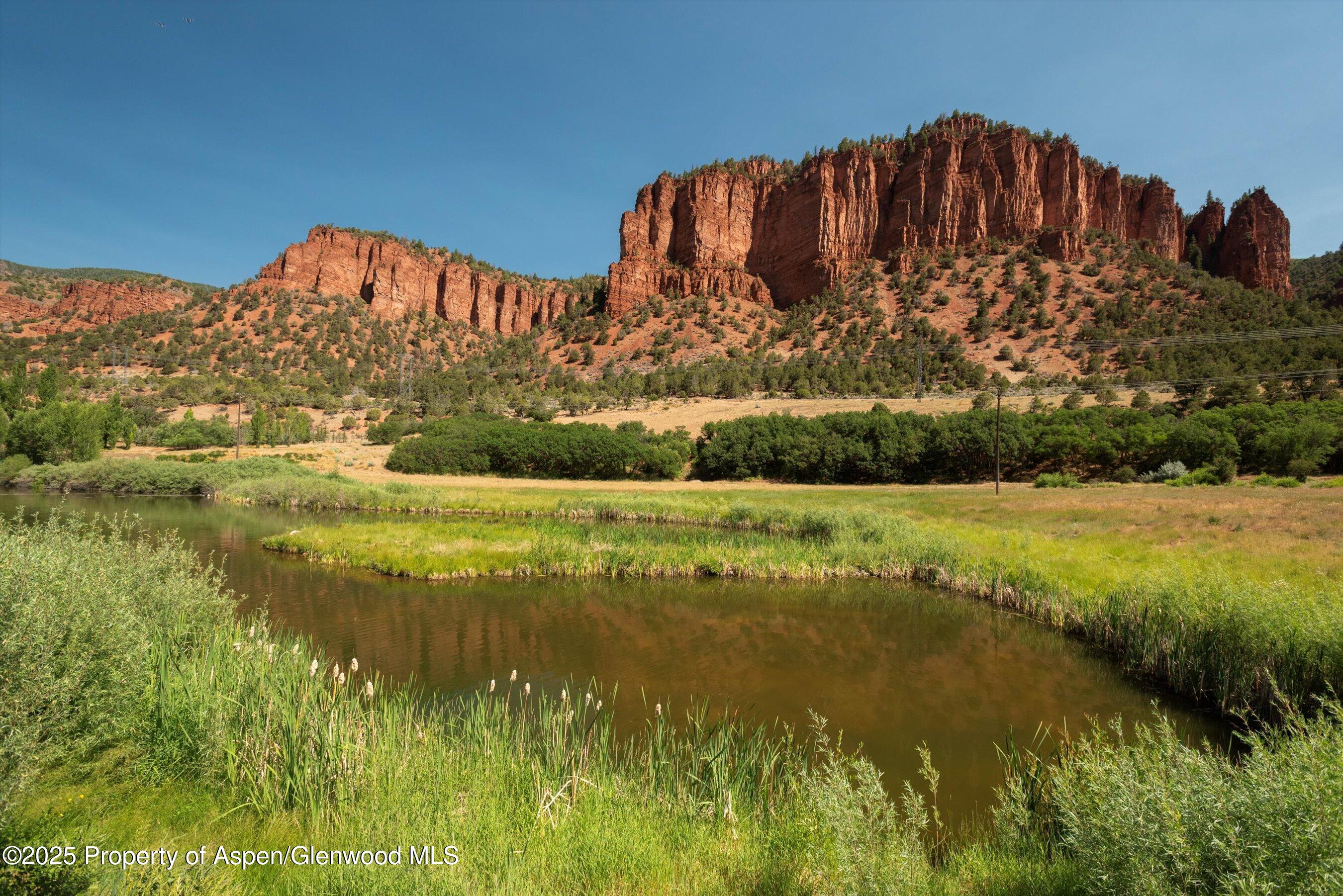 5129 Frying Pan Road Basalt, CO 81621 - Photo 13 of 14 a view of a garden with an ocean view