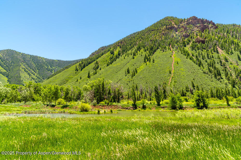 5129 Frying Pan Road Basalt, CO 81621 - Photo 10 of 14 a view of green field