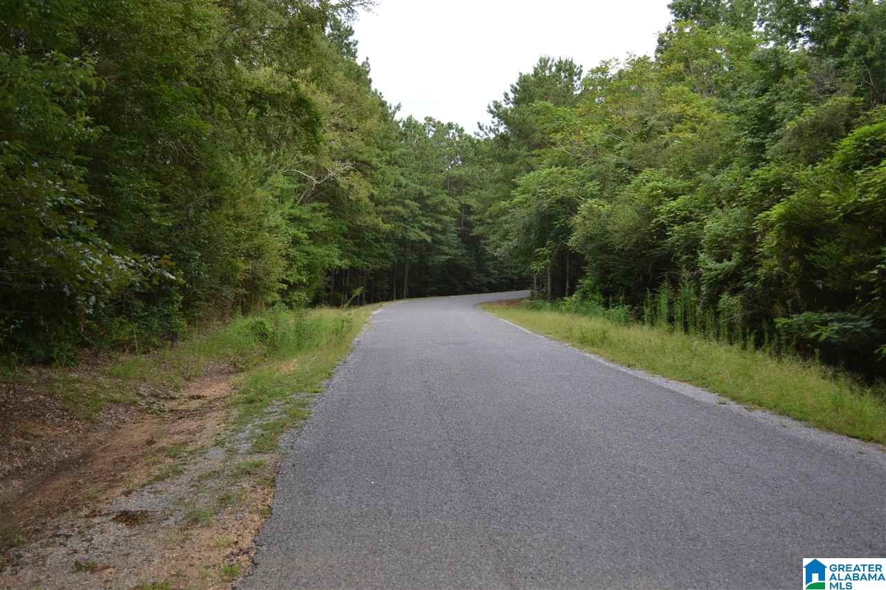 0 Water Oak Lane, Unit 39 ACRES Alpine, AL 35014 - Photo 2 of 7