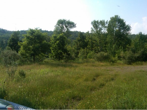 305 Foster Road Vestal, NY 13850 - Photo 1 of 4 Gallery Image 1