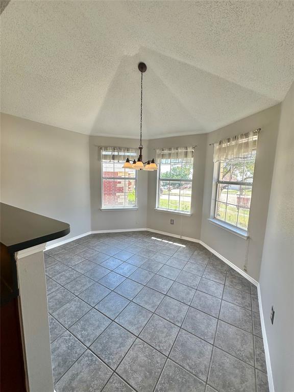 4905 Spur Ridge Court Fort Worth, TX 76244 - Photo 8 of 20