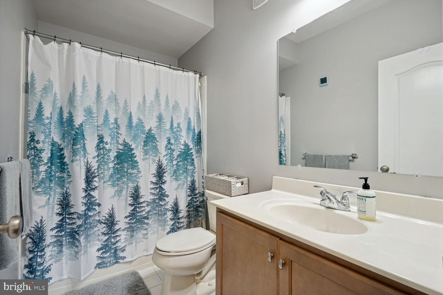 23485 Logans Ridge Terrace Ashburn, VA 20148 - Photo 11 of 13 Upper level hall bath