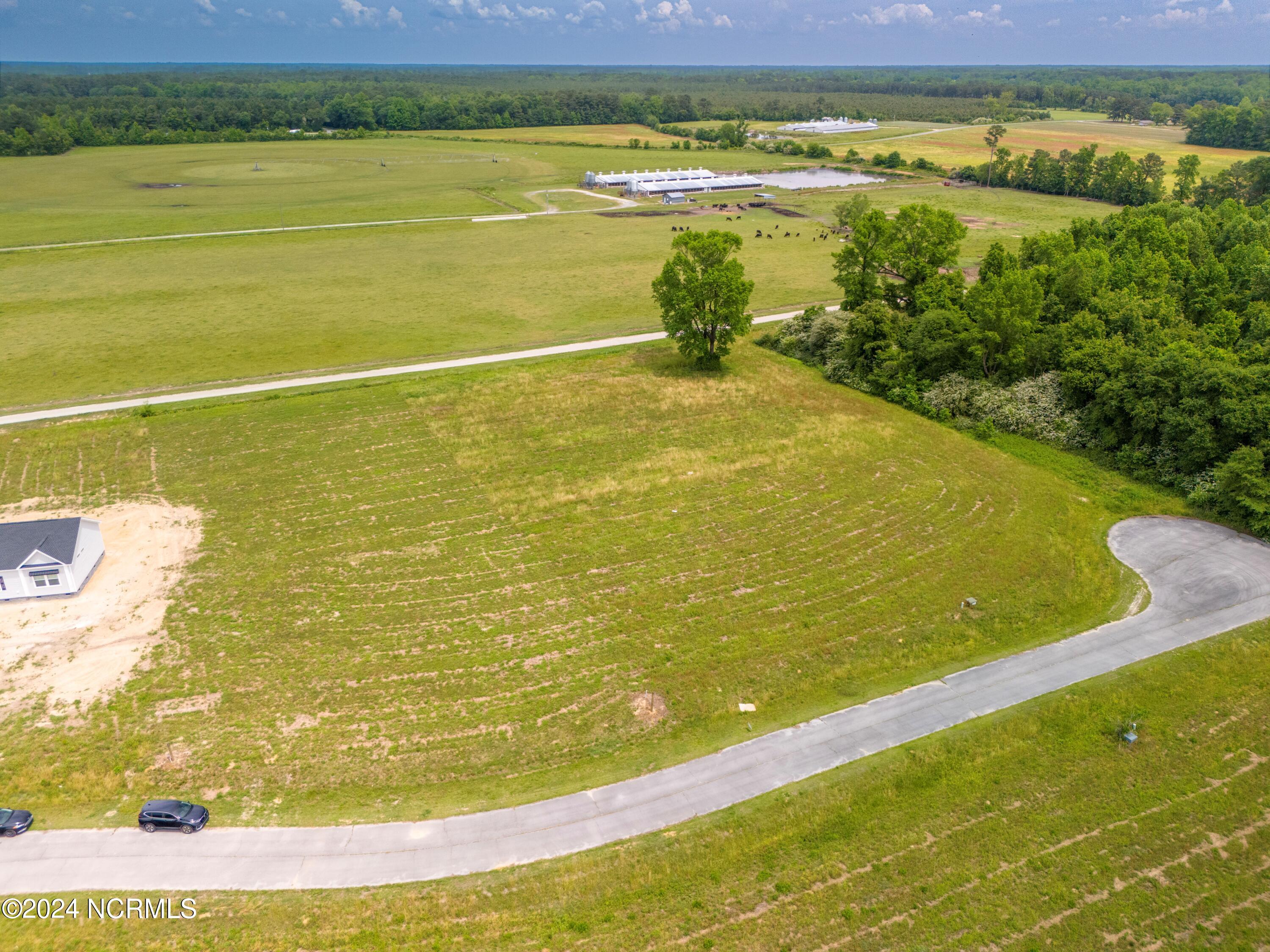 129 Sand Ridge Drive Beulaville, NC 28518 - Photo 13 of 14 10-DJI_20240503123120_0162_D-HDR