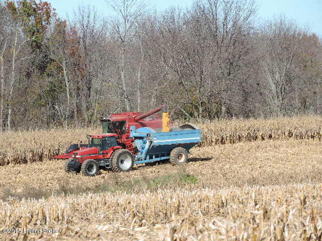 3098 Sulphur Road Sulphur, KY 40070 - Photo 17 of 48 There was approx. 60 acres of corn raised on the farm in 2015.
