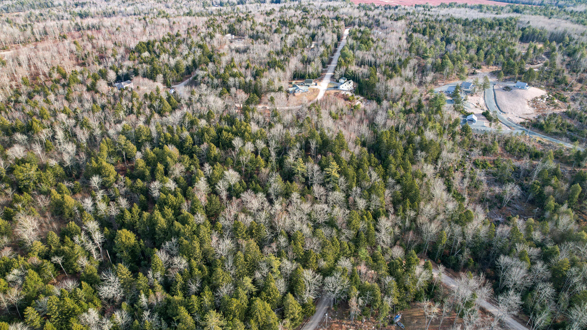 142 Sandy Acres Drive Sullivan, ME 04664 - Photo 14 of 26 sandy land